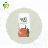 عصير الربيع مانجو 185 مل