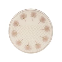 صينية أكريليك ( مجموعة عجوة ) بيج ‎46×15 سم