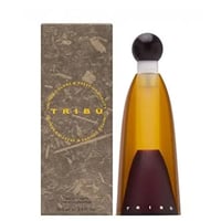 عطر تيربو القديم