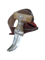 جنبيه عابدي