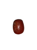 حجر مرجان طبيعي تونسي