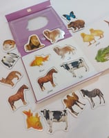 كتاب بازل التعليم اولا