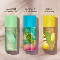 قرين تي نكتارين بلوسوم Green Tea Nectarine Blossom...