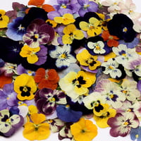 باذر ورد مجفف للتزين قابل للأكل 50 حبة