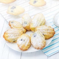 شيكاغو ميتاليك صينية مادلين 40 سم × 19 سم