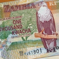 زامبيا فئة 1000 كواشا أنسر (بوليمر) اصدار قديم