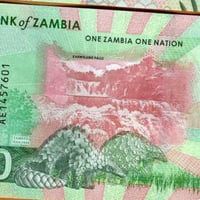 زامبيا فئة 10 كواشا أنسر