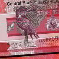 غامبيا فئة 5 دالاسي أنسر