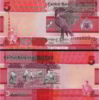 غامبيا فئة 5 دالاسي أنسر