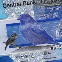 غامبيا فئة 20 دالاسي أنسر