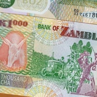 زامبيا فئة 1000 كواشا أنسر (بوليمر) اصدار قديم