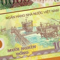 فيتنام فئة 10000دونغ أنسر (بوليمر)