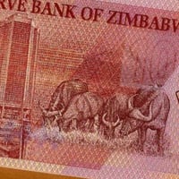 زيمبابوي فئة 10 دولار أنسر