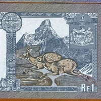 نيبال فئة 1 روبية أنسر اصدار قديم