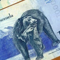 فنزويلا فئة 10000 بوليفار أنسر