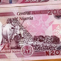 نيجيريا فئة 200 نيرة أنسر