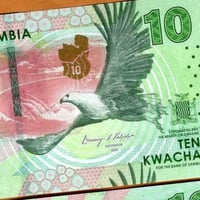 زامبيا فئة 10 كواشا أنسر