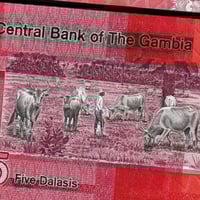 غامبيا فئة 5 دالاسي أنسر