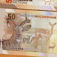 موزمبيق فئة 50 متكال (بولمير) أنسر