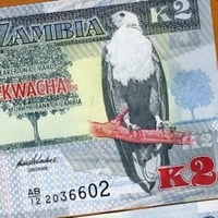 زامبيا فئة 2 كواشا أنسر