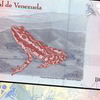 فنزويلا فئة 5 بوليفار أنسر