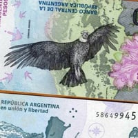 الارجنتين فئة 50 بيزو أنسر