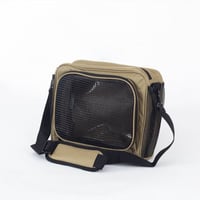 صفن طيور ربيعي