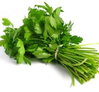 كزبرة للربطة