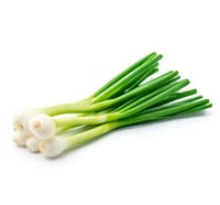 بصل أخضر للربطة