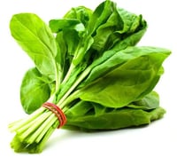 سبانخ للربطه كبيرة