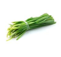 كراث للربطة