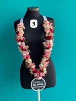 عقد تخرج بلاسم حسب الطلب