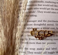 بروش الاسم تصميم حسب الطلب