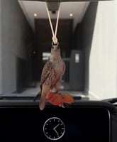 تعليقه الصقر