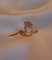 تصميم بروشات تخرج بلاسم