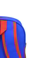 شنطة ظهر مدرسية من القماش نمر لي الأولاد