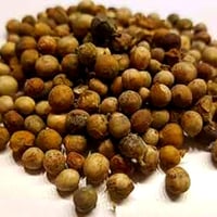 بذور الاراك