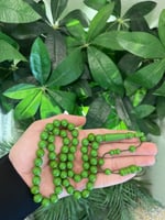 سبحة بكلايت خضراء