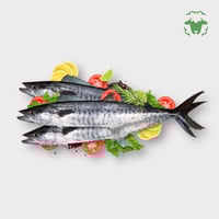 بوكس الضيرك التوفيري