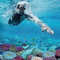 انتيكس - مجموعة قناع الغوص ويف رايدر والزعانف للبا...