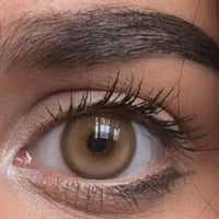 عدسات سورا - كريمي بني-زينة