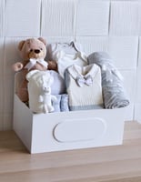 بوكس ولادي شتوى