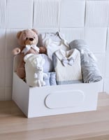 بوكس ولادي شتوى