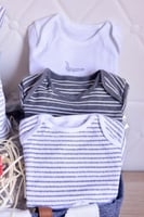 هدية شنطة ولادي