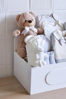 بوكس ولادي شتوى