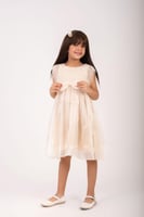 فستان اللمسة الهادئة