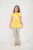 بجامة همسة الأقحوان