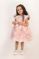 فستان الأميرات بالدانتيل