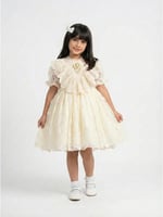 فستان باريس الكلاسيك