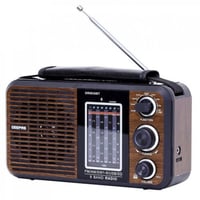 مكبر صوت و راديو GEEPAS ( بلوتوث + USB + AUX + ذاك...